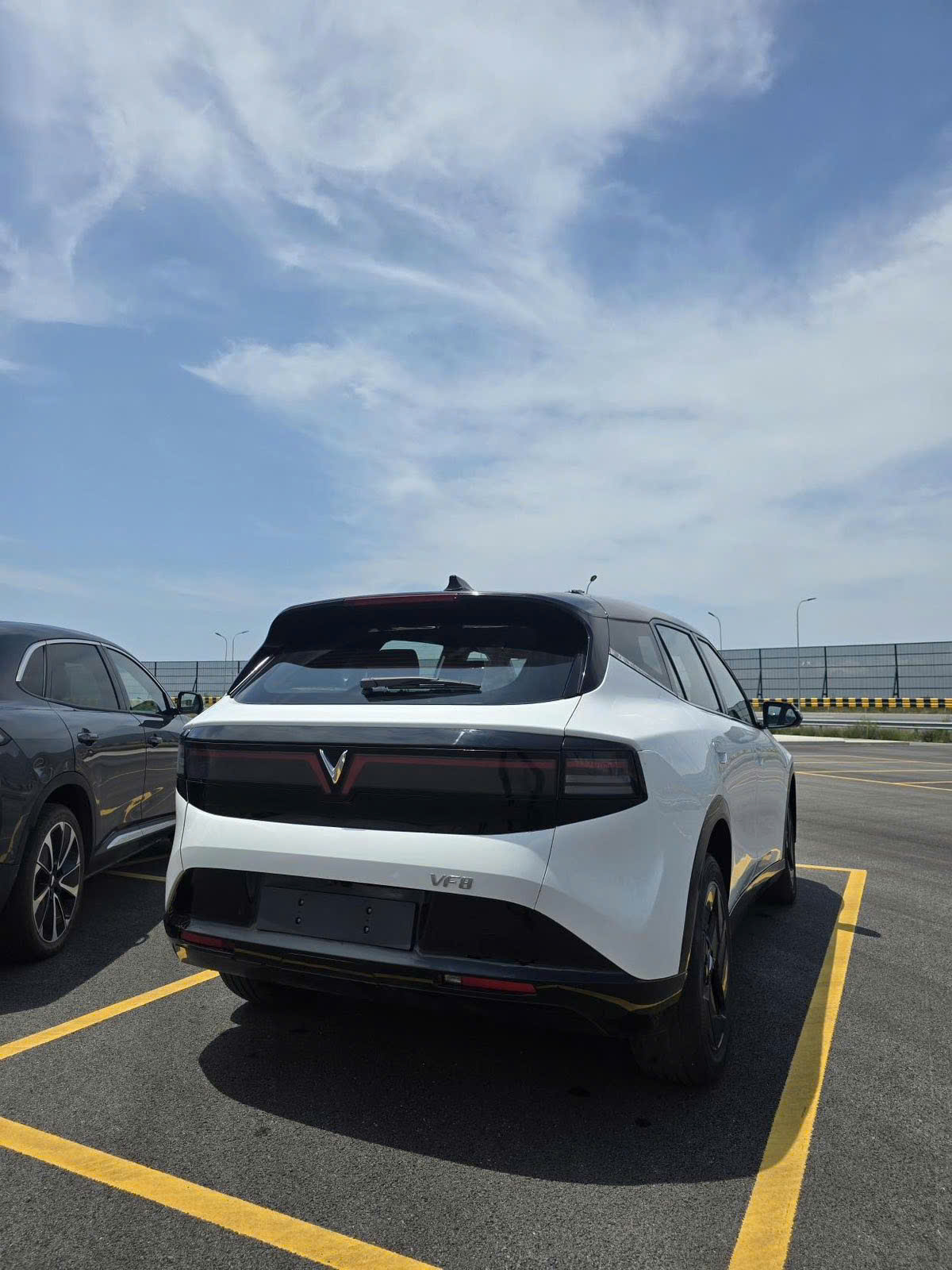VF 8 2.jpg
