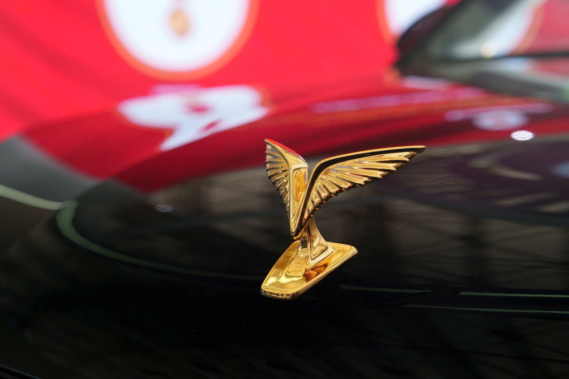 VinFast Lạc Hồng-4.jpg