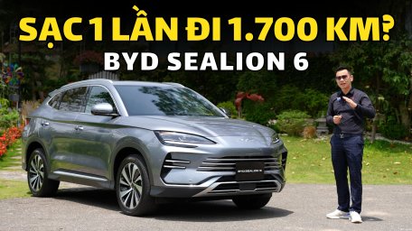 thumb sealion 6 2.jpg